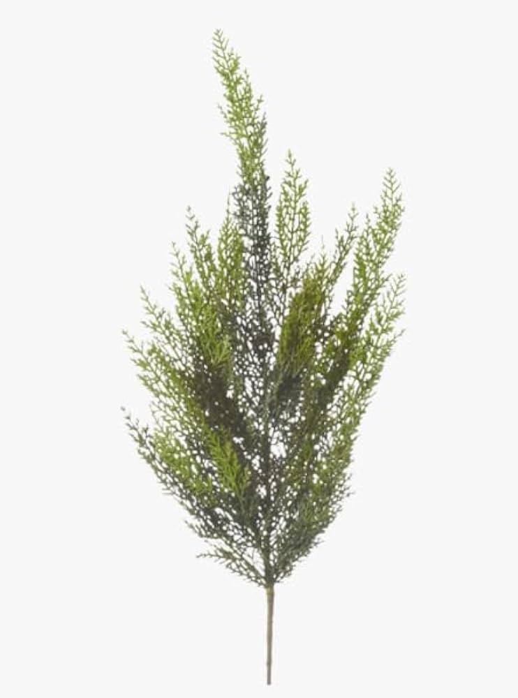 34" Cedar Pick | Amazon (US)