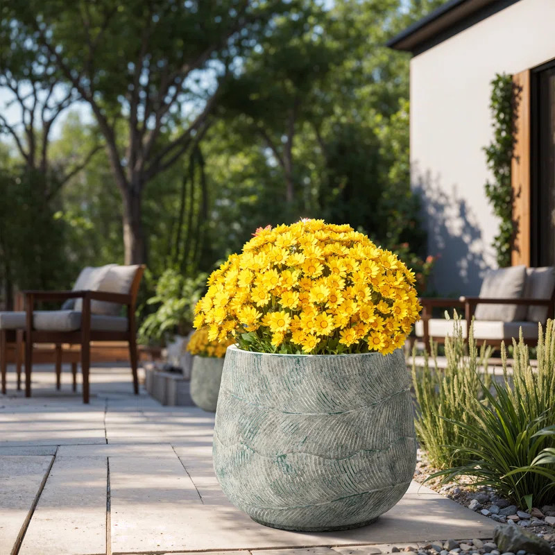 Rustic Distressed  Multi-Color Cement Round Planter, Indoor and Outdoor | Wayfair North America