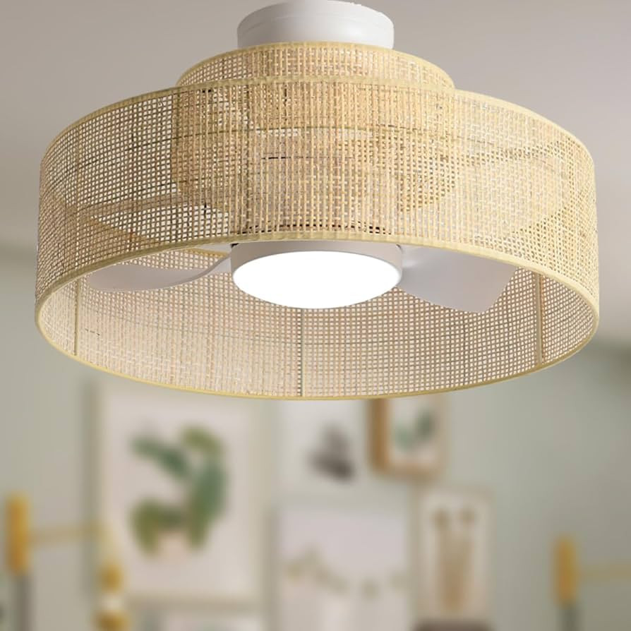 22” Bamboo DC Dimmable Ceiling Fan with Light and Remote Control,Boho Wooden Wicker Cage Rattan... | Amazon (US)