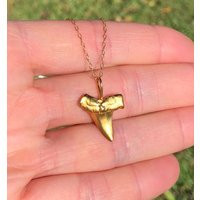 Shark Tooth Necklace, Gold Shark Pendant, Beach A 14K Plated Sterling Silver Sharks On Filled Chain | Etsy (US)