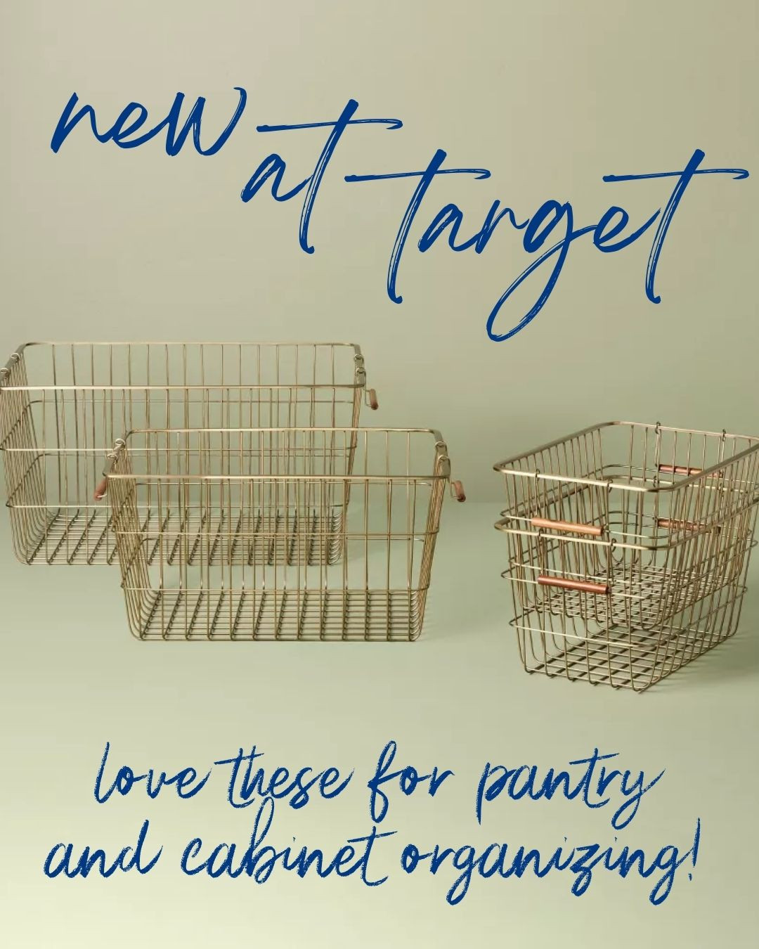 New at Target and perfect for an easy home refresh 🤍 These wire storage baskets are great for pantry shelves, cabinets, and countertops—functional, stylish, and budget-friendly for everyday organizing.

Target home finds, pantry organization, cabinet organization, wire storage baskets, home organization 

 #LTKHome #LTKFindsUnder50