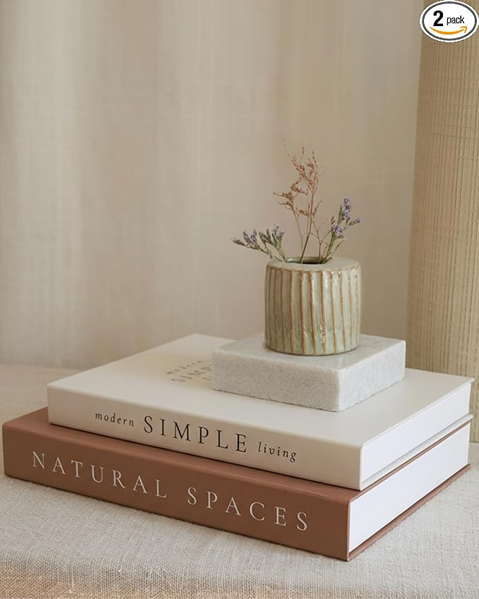 Beautiful Decorative Books - Set of 2 Boxes Enhance Your Coffee Table, Bookshelf or Mantel Shelf ... | Amazon (US)