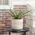 Better Homes & Gardens Pottery 8" Tye Ceramic Planter, White - Walmart.com | Walmart (US)