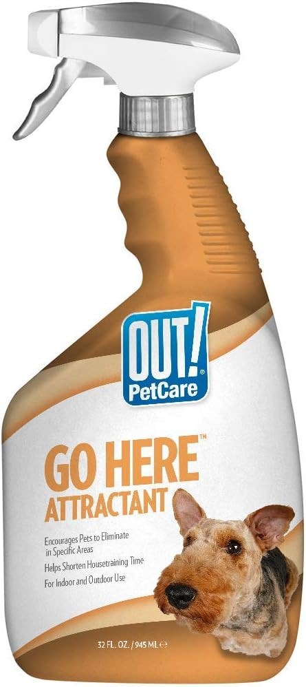 OUT! PetCare Go Here Attractant Indoor and Outdoor Dog Training Spray | House-Training Aid for Pu... | Amazon (US)