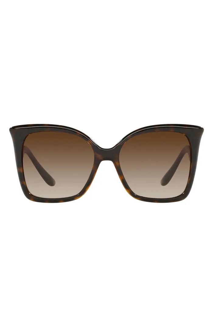 Dolce&Gabbana 56mm Oversize Butterfly Sunglasses | Nordstrom | Nordstrom