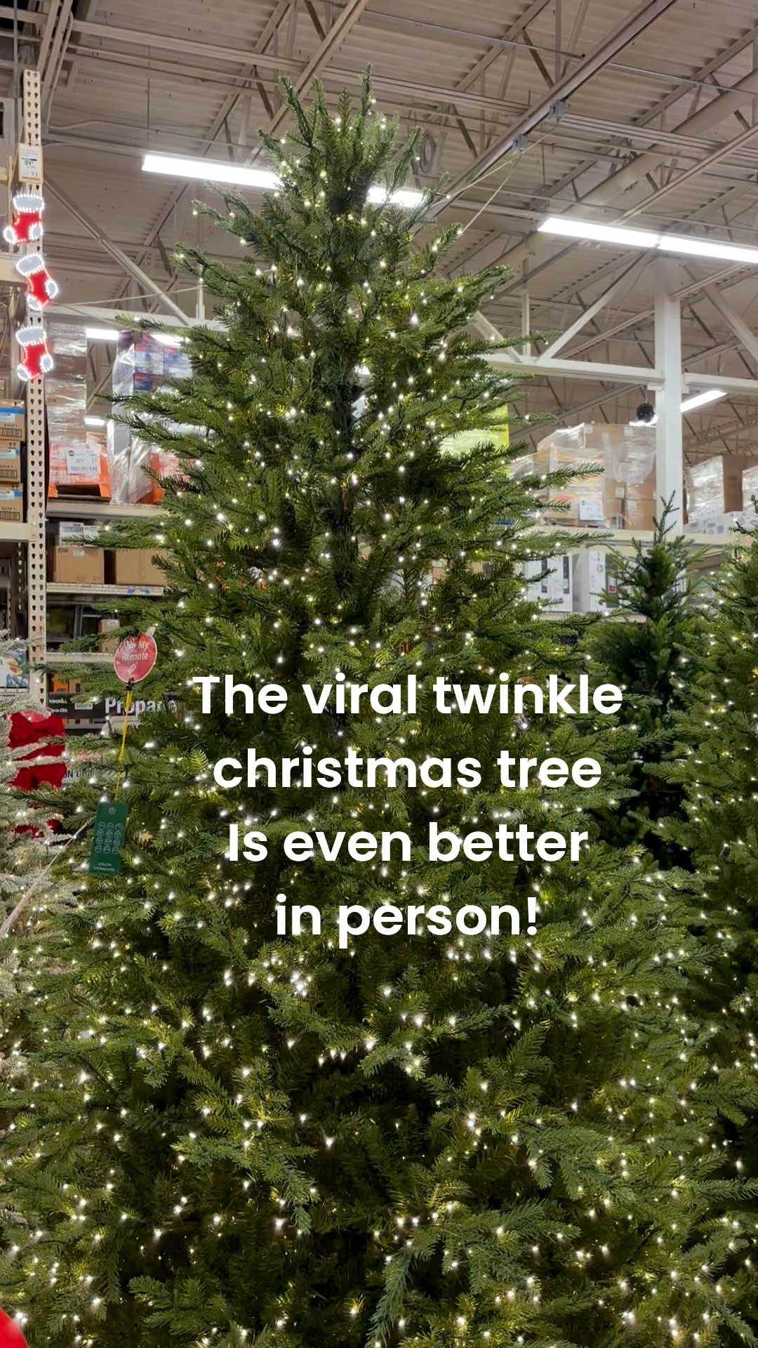 The viral twinkle Christmas tree was restocked at Home Depot and it’s amazing in person! Super realistic and tons of lights!

Christmas decor 
Holiday home decor 

#LTKHome #LTKSeasonal #LTKHoliday