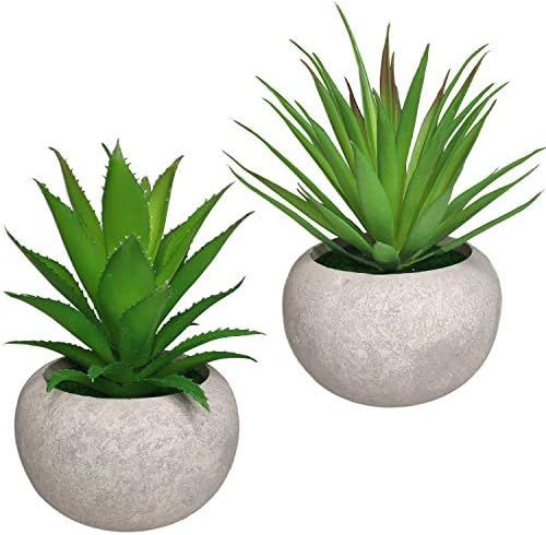 Mini Artificial Succulent Plants 2 Pack Fake Succulent Plants Potted Faux Green Grass Aloe with Pots | Amazon (US)
