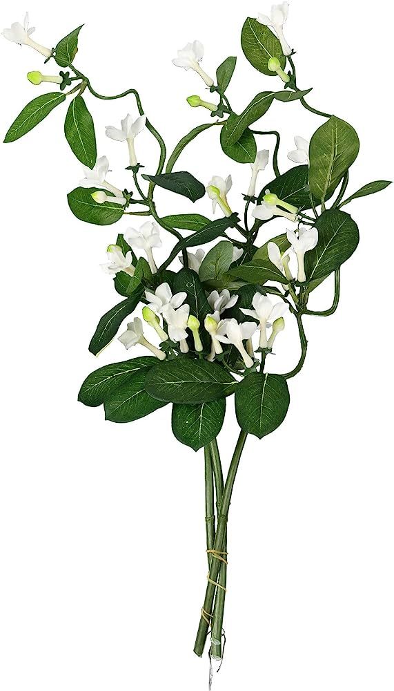 Vickerman 25" Artificial White Stephanotis Vine Spray. There are 2 Sprays per Pack. | Amazon (US)