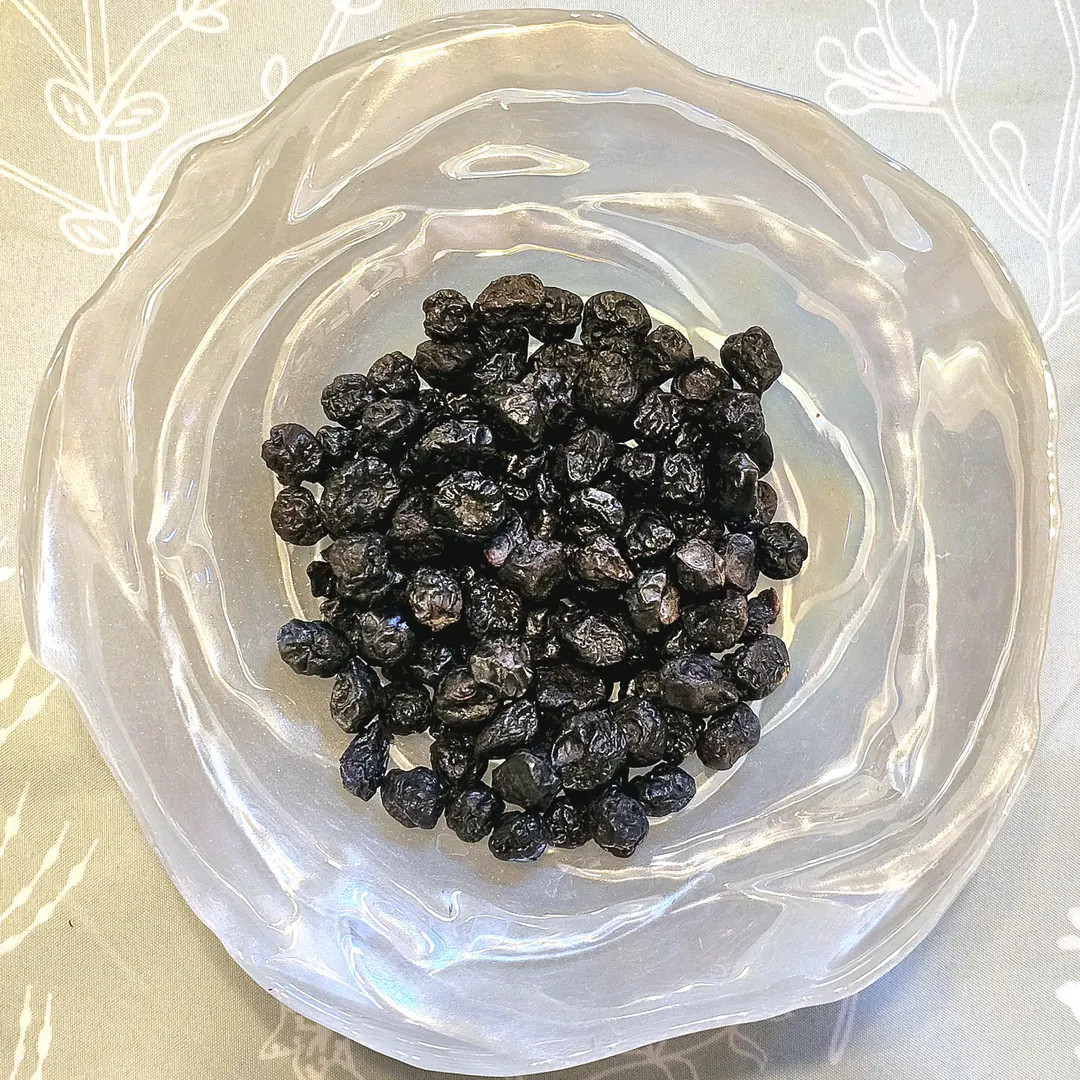 Dried Blueberries | Hermit Crab Food - Etsy | Etsy (US)
