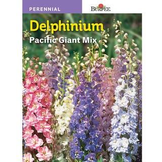 Burpee Delphinium Giant Pacific Mix Seed-43745 - The Home Depot | The Home Depot