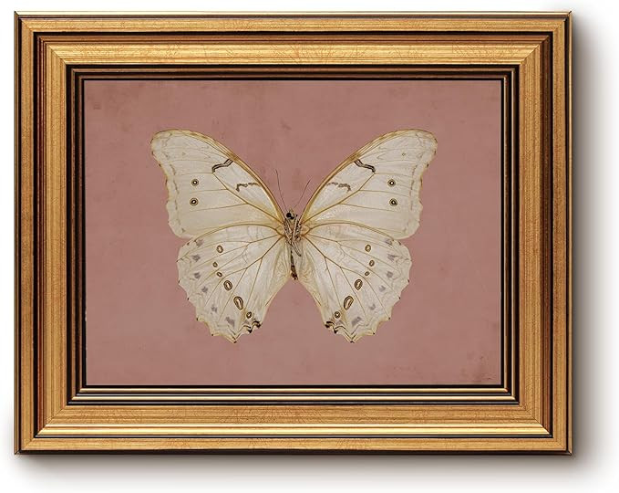 InSimSea Gold Framed Canvas Wall Art, Vintage Wall Decor for Living Room, Moody White Butterfly P... | Amazon (US)