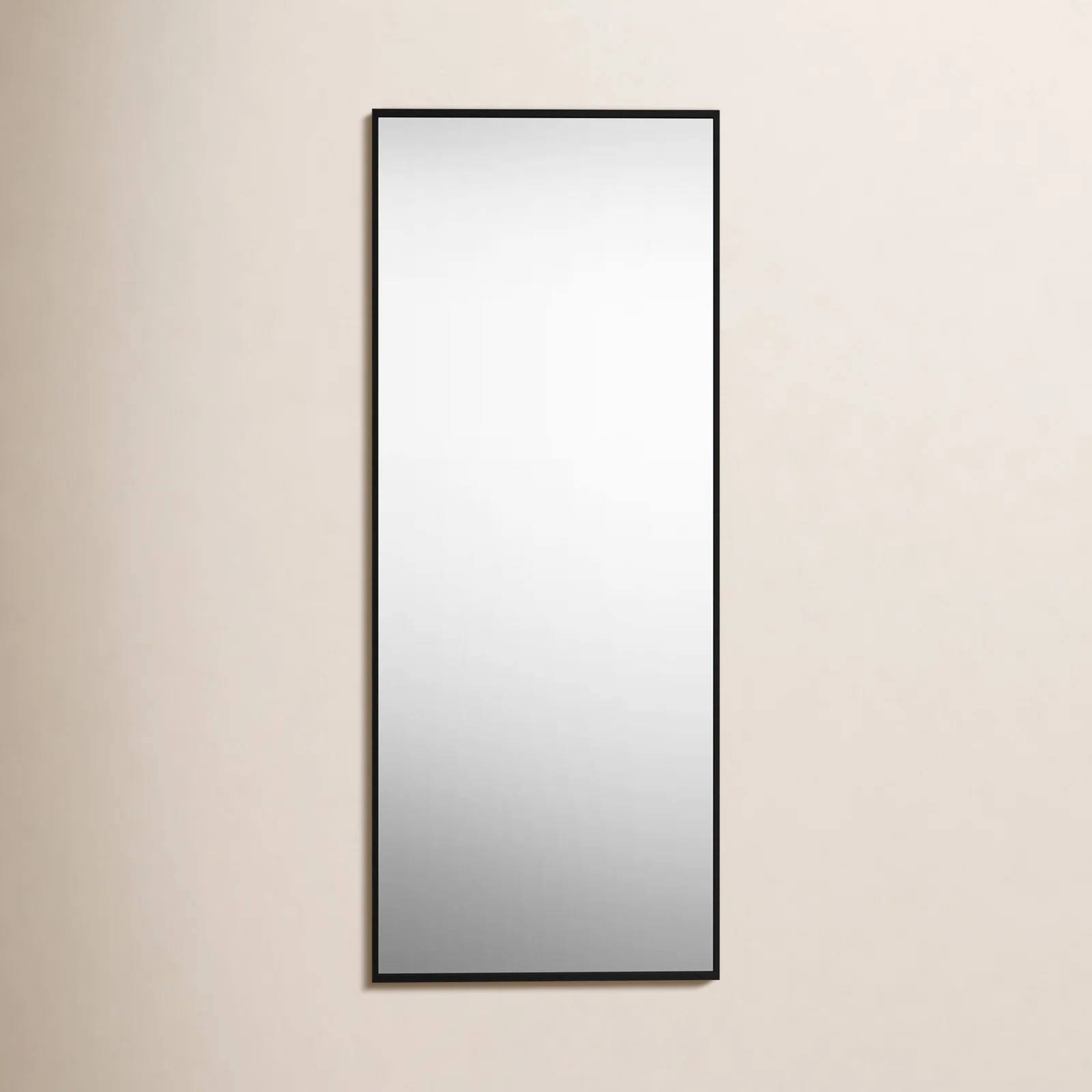 Sabine Metal Rectangle Wall Mirror | AllModern