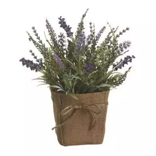 Allstate Floral Lavender In Burlap Pot | Scheels