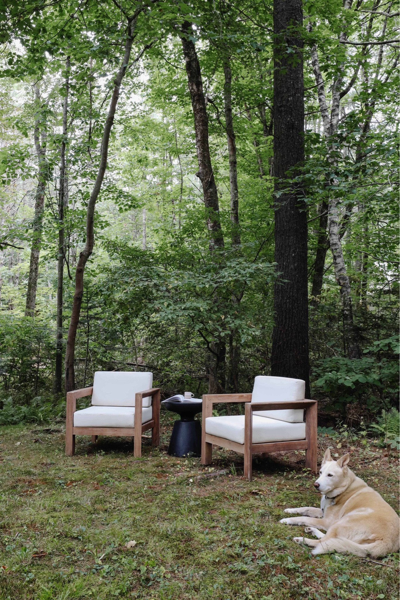 Chris’ goal for our property is simple: to create lots of seating areas for us (and our guests) to enjoy. Starting with what we have - a pair of cushioned wood club chairs that have held up so well after 4 years. Shop these, and a few other outdoor chairs I love at @wayfair! #ad #wayfairpartner #paidlink #wayfair

#LTKHome