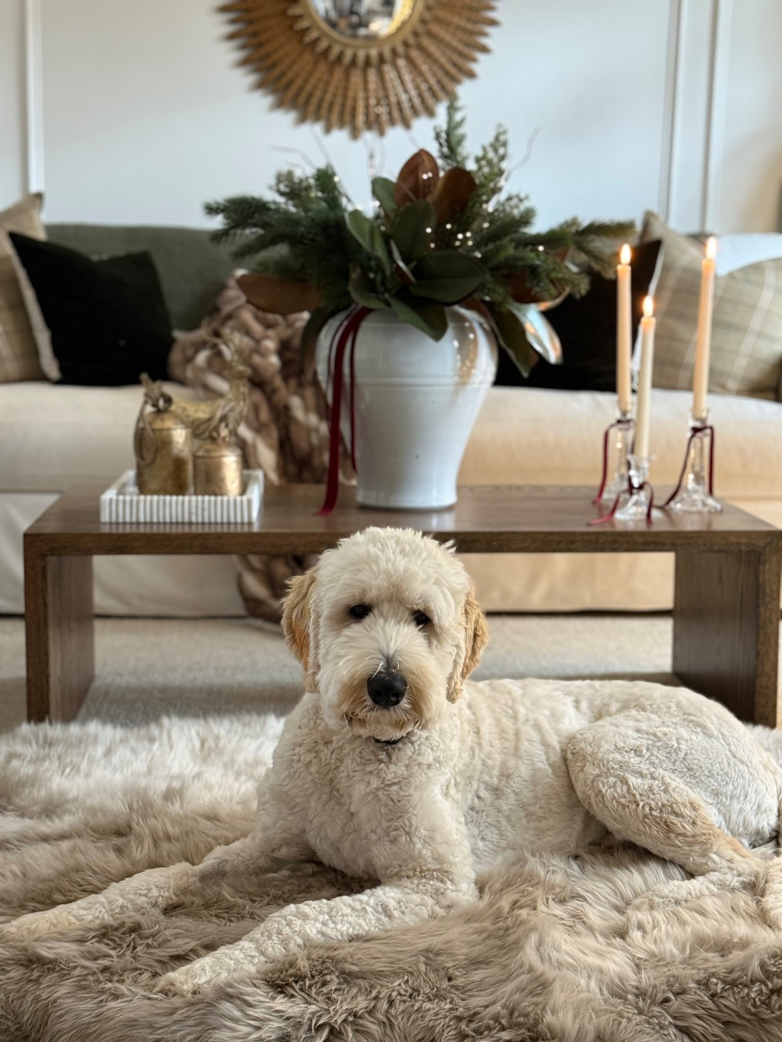 Archie is stealing my new @overlandsheepskin pelt rug because it’s just too cozy, and I don’t blame him!  #ad

#overlandsheepskin #myoverland

#LTKHome #LTKGiftGuide