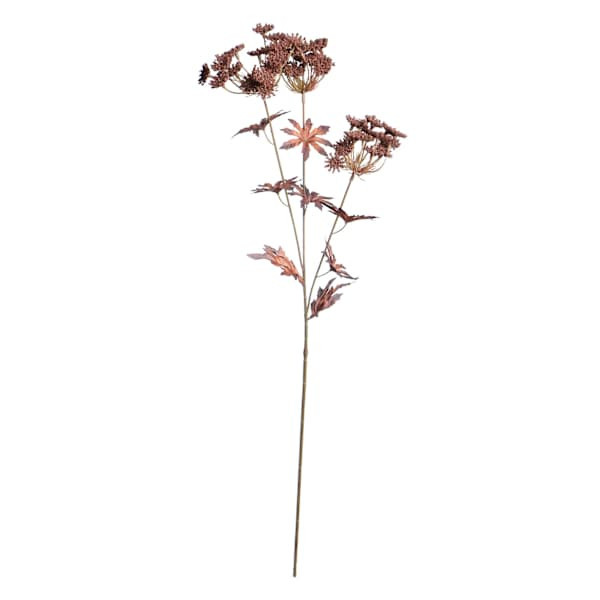 Brown Queen Anne's Lace Stem, 31", Plastic, sold by At Home | At Home