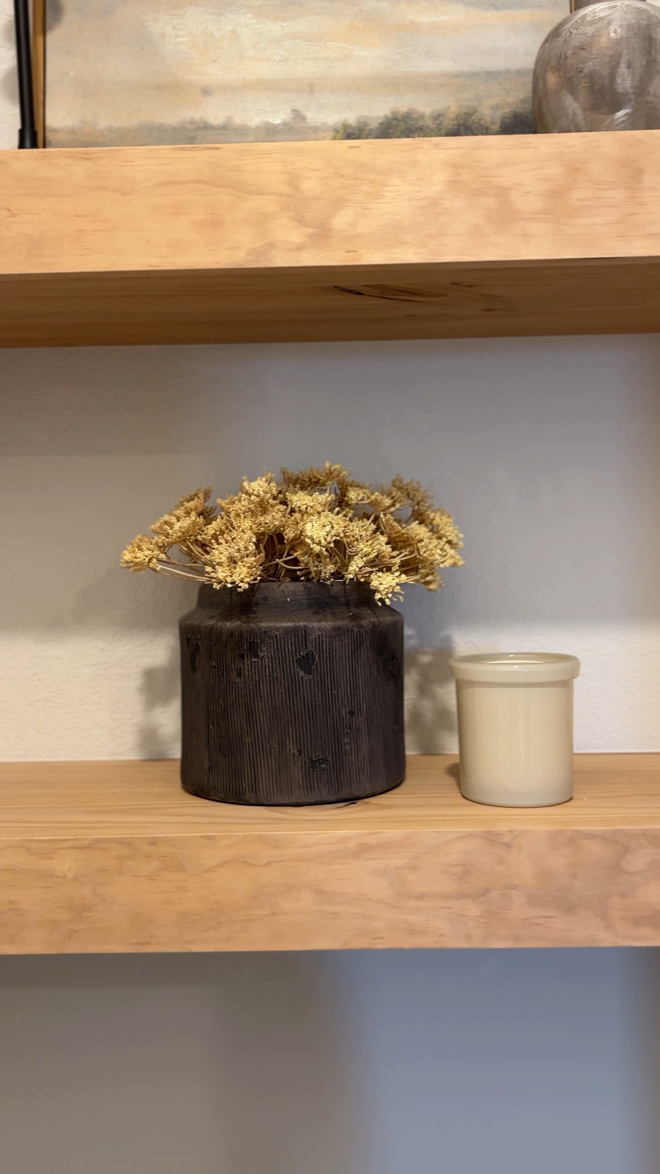 Planters that double as the cutest home decor! I have these thrown all throughout my house! ❤️ 

#LTKhome #LTKfindsunder50 #LTKVideo