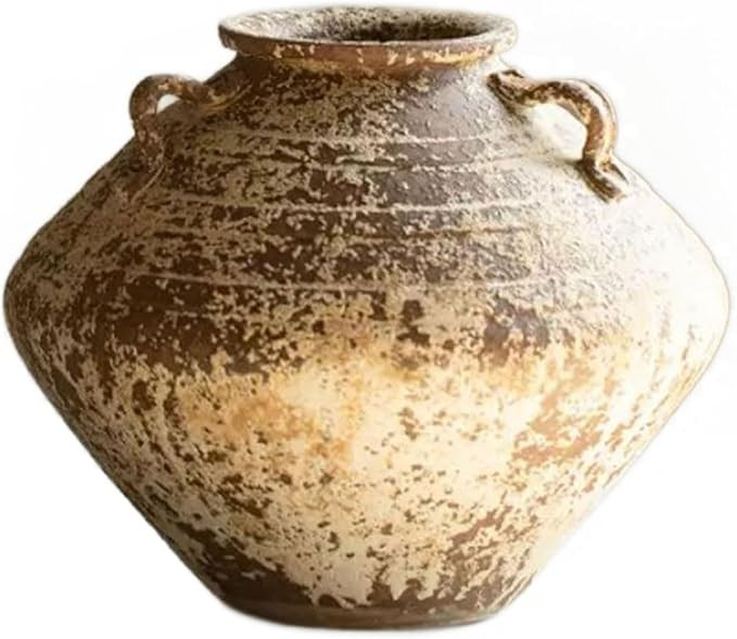 Aimeryup Pub Vase Rough Ceramic Pottery Jar Big Belly Large Ornament Decor Flower Arrangement Cab... | Amazon (US)