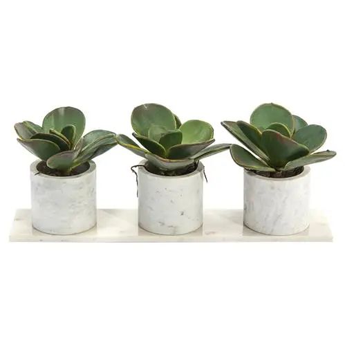 John-Richard Modern Classic Marble Succulents Natural Marble Base Plant | Kathy Kuo Home