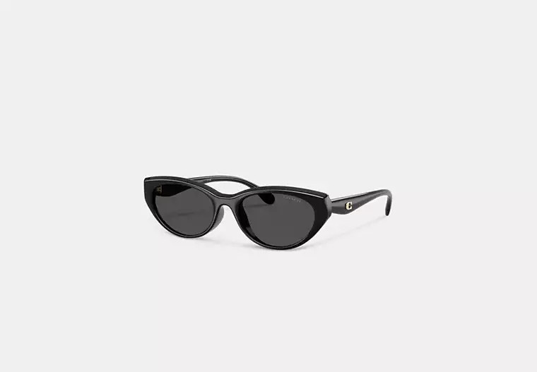 C Hardware Oval Cat Eye Sunglasses | Eyewear | Coach | COACH® | Coach (US)