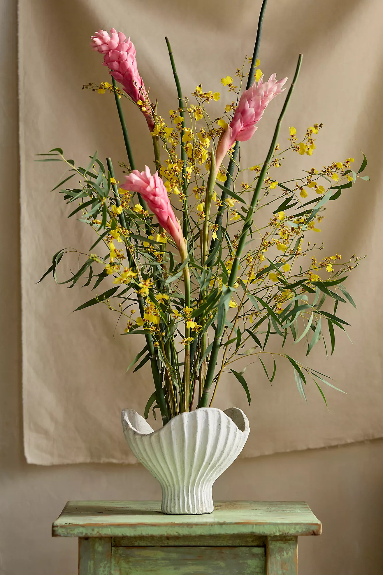 Terracotta Scallop Shell Bowl Planter | Anthropologie (US)