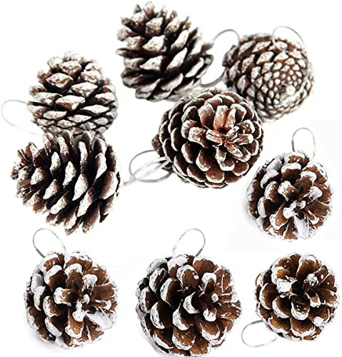 Pine Cones 24 Pieces Christmas PineCones Hanging Ornament for Christmas Tree Party Decoration (Snow) | Amazon (US)