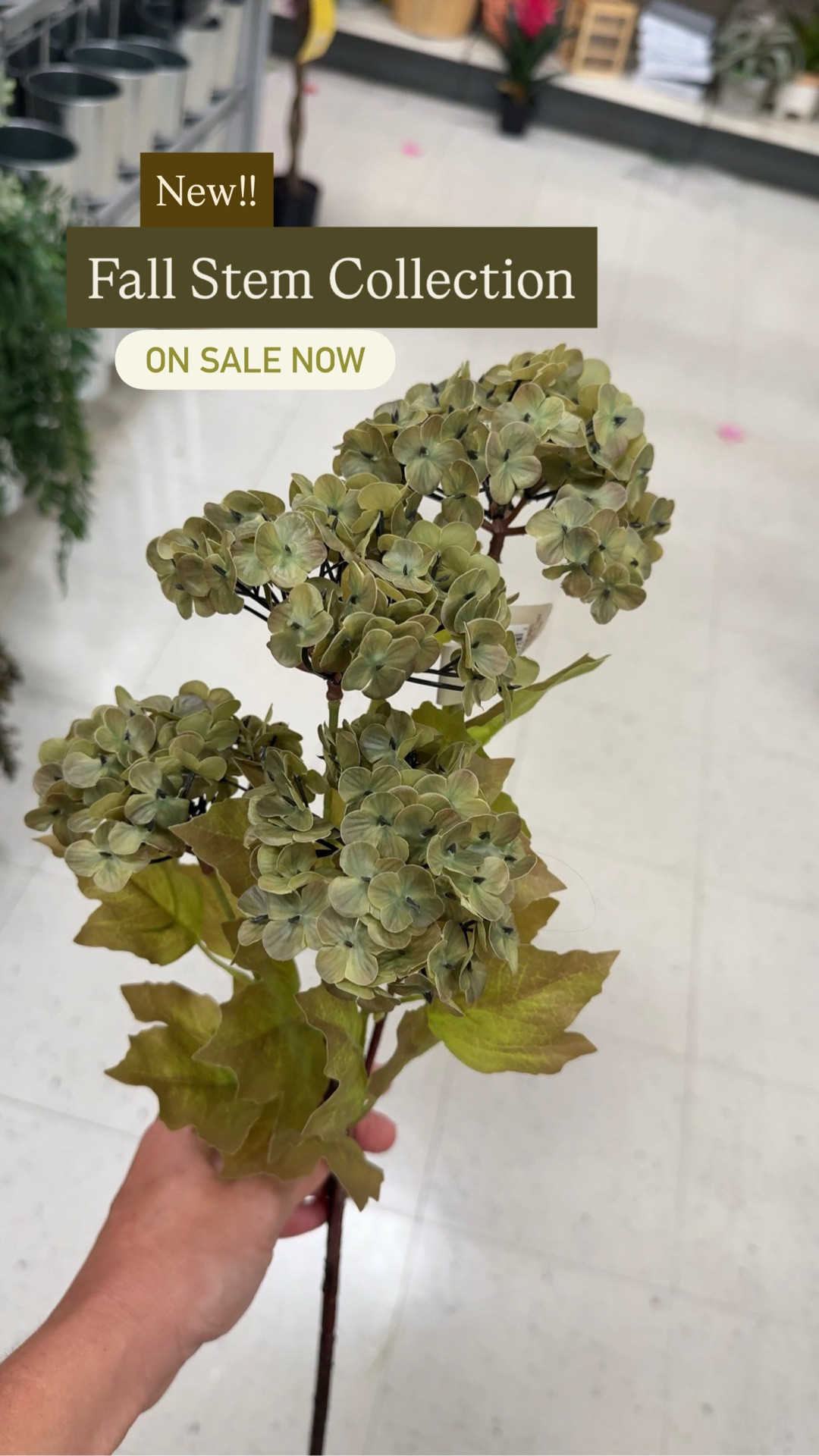 The prettiest new fall stems just arrived at Michaels and they’re already on sale! 

fall decor, fall stems, faux hydrangeas, Michaels fall decor, artificial flowers, neutral fall decor, organic modern decor, Studio McGee style, Amber Interiors inspired, autumn decorating, fall home decor, vase filler, fall centerpiece, affordable home decor, look for less

#LTKSaleAlert #LTKHome #LTKSeasonal
