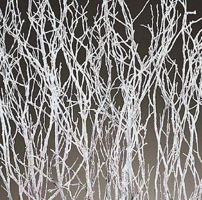 Sweet Huck Branches - White Sparkle bunch | Amazon (US)