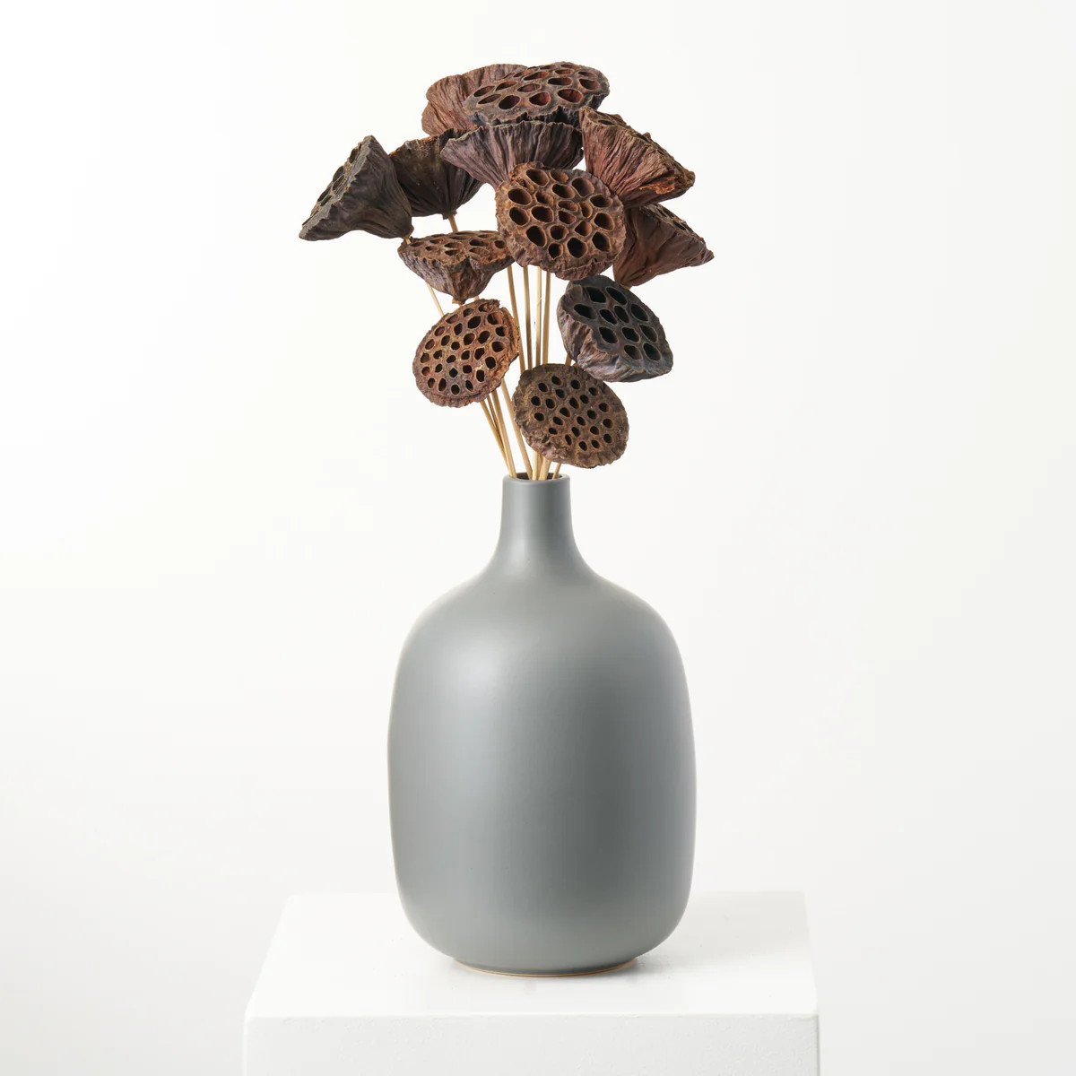 Natural Dried Brown Varnished Lotus Pods on Wooden Picks - Bundle of 12 | Darby Creek Trading