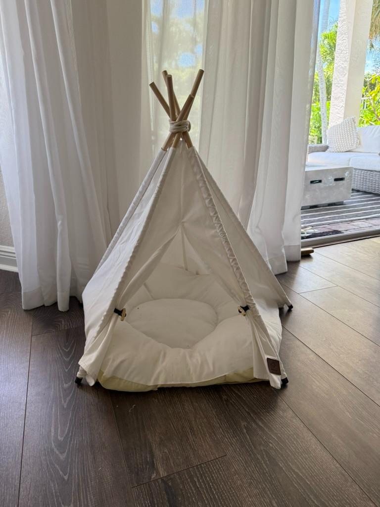 Not a haul. Just the small Amazon upgrades that earned a permanent
spot in my real life — the ice maker that survives South Florida
summers, the dog's surprisingly chic teepee, the grill pan that
elevated weeknight dinner, and three more I'd recommend over coffee.

#LTKdayinmylife #LTKOver40 #LTKHome