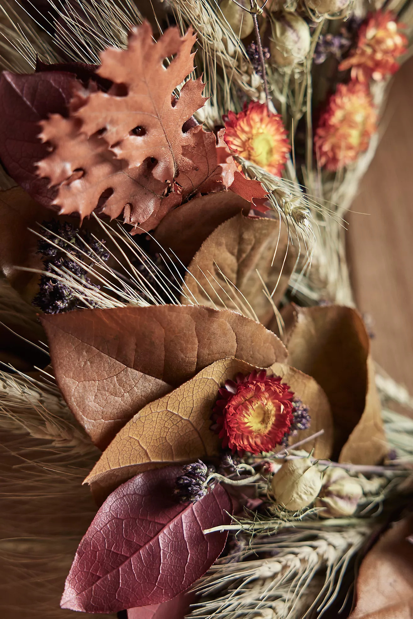 Autumn Harvest Preserved Wreath | Anthropologie (US)