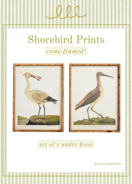 Set of two - shorebirds art prints - come framed in faux bamboo frames. Perfect for coastal, traditional decor. 

#LTKfamily #LTKhome #LTKover40