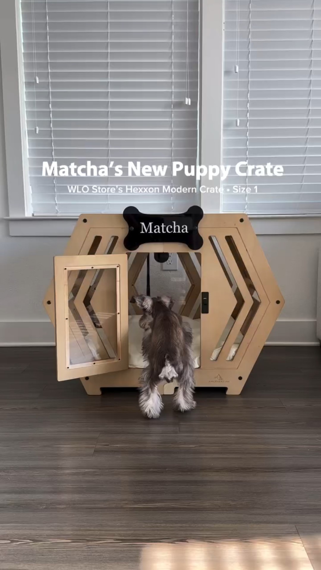 Puppy crate.. No, more like puppy PENTHOUSE! 🏠

I wanted to find a cute and cozy dog house/crate for Matcha that matched the aesthetic of our home & this crate is perfect!! 🤩 

Would you get a crate like this for your pup? 👀

#minischnauzer #puppylife #cratetraining #dogbed #minischnauzersoftiktok #newpuppy #dogmomlife #miniatureschnauzer #zukesdogtreats #dogmom

#LTKPets #LTKHome