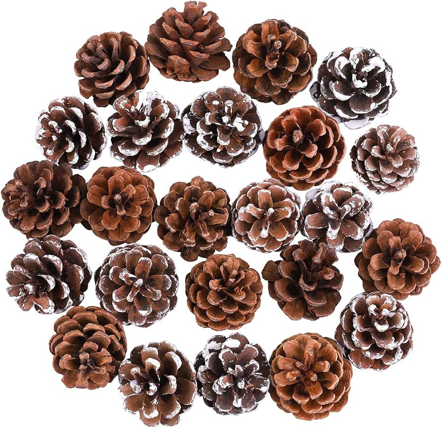 Cooraby 24 Pieces Pine Cones Christmas Snow Pine Cones Natural Pine Cones 4 to 6 cm Pine Cones fo... | Amazon (US)