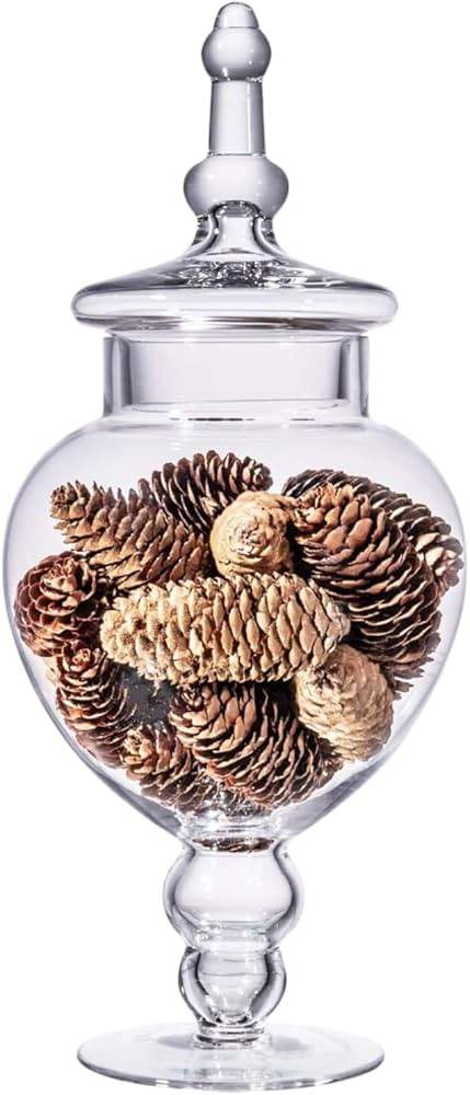 Large Glass Apothecary Jars with Lid, Clear Glass Candy Jar for Candy Buffet, Decorative Glass Ja... | Amazon (US)