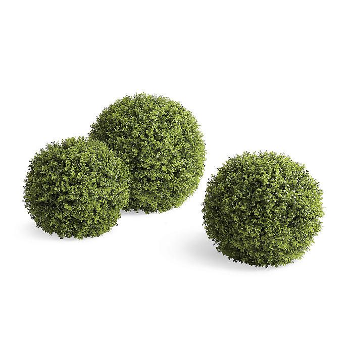 Boxwood Greenery Balls | Frontgate | Frontgate