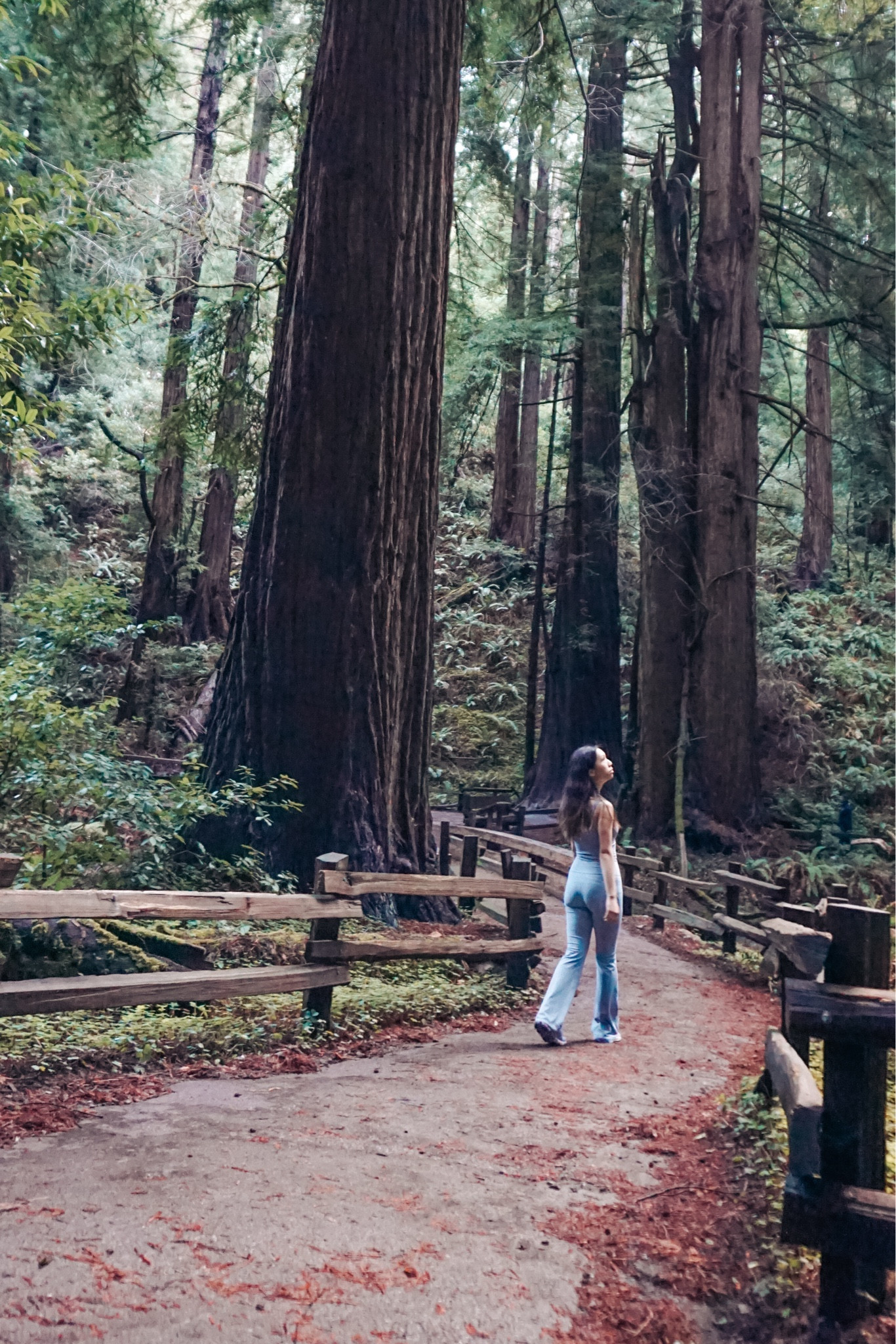 Muir Woods hiking outfit. 🩵 No reason why we can't look cute while hiking!

#LTKfindsunder50 #LTKfindsunder100 #LTKfitness