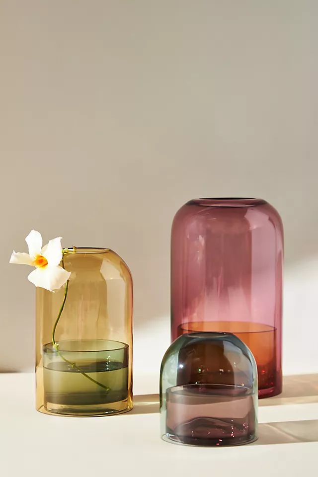 Tinted Glass Cloche | Anthropologie (US)