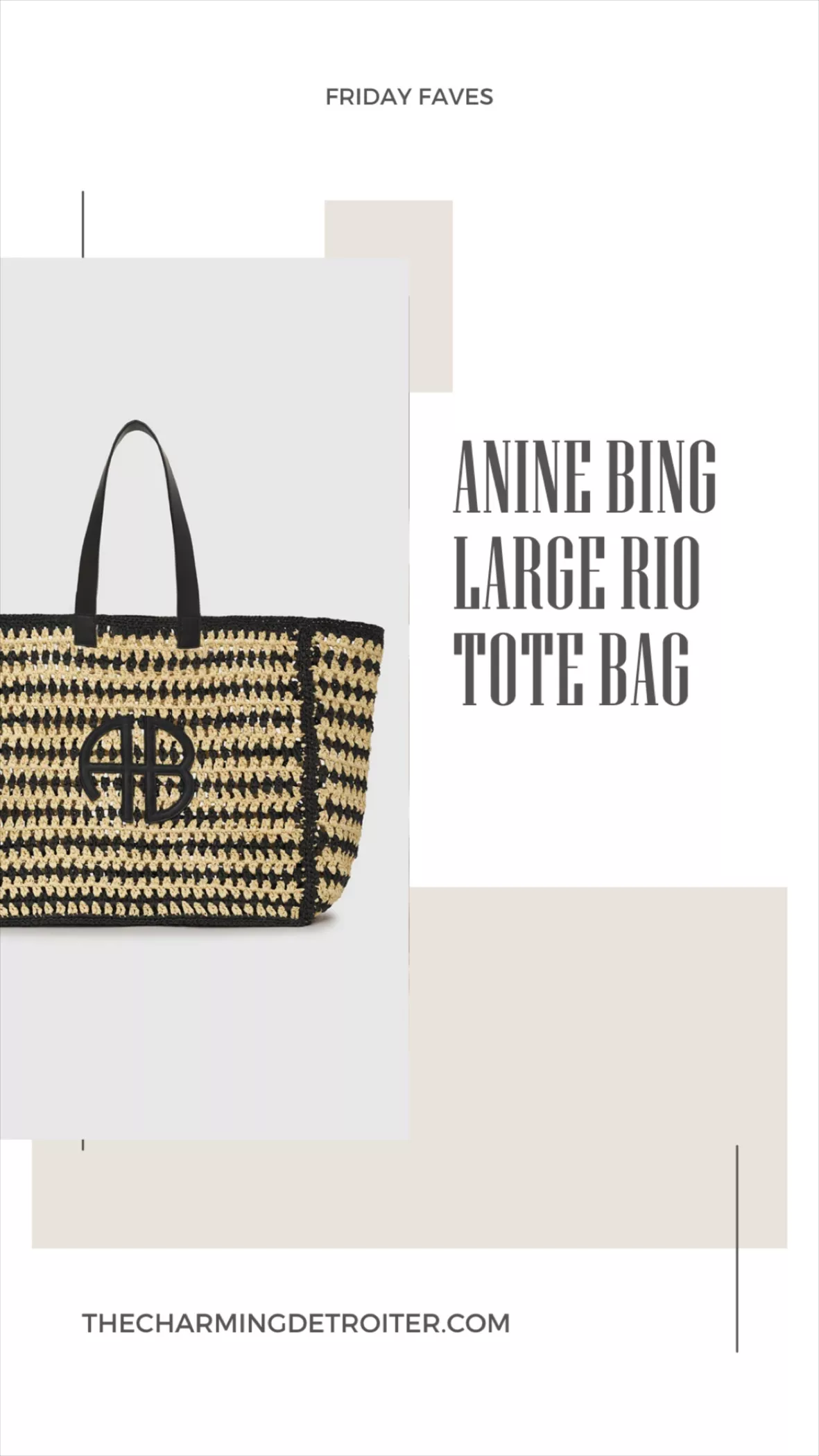 Small rio canvas tote bag - ANINE BING - Women