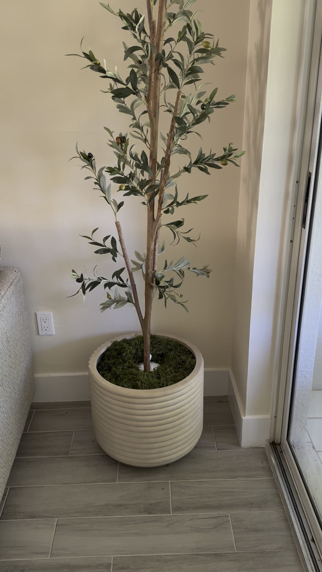 Faux olive tree and planter. Don’t forget this disk light for an extra vibe 

#LTKStyleTip #LTKFindsUnder100 #LTKHome