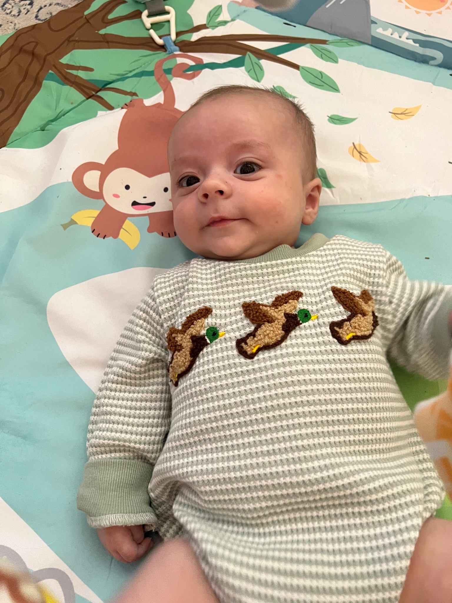 LOVEE little baby rompers

#LTKFamily #LTKBump #LTKBaby