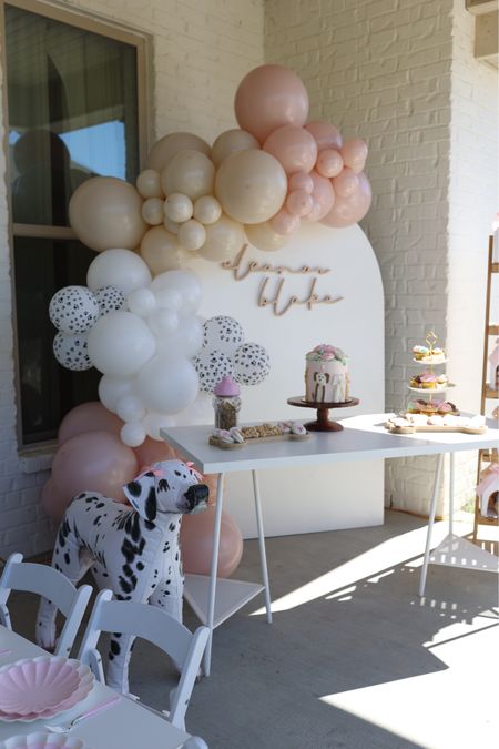 Eleanor’s 3rd birthday party. Puppy themed. DIY decor and balloon garland  

#LTKkids #LTKparties #LTKbaby