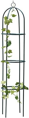 garden mile® 1.9m Metal Garden Obelisk Climbing Plant Flowers Steel Frame Trellis Vines Floral D... | Amazon (UK)