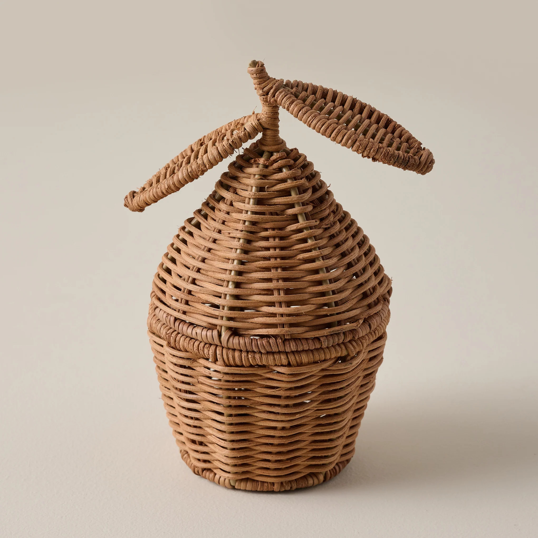 Woven Lemon Canister | Magnolia