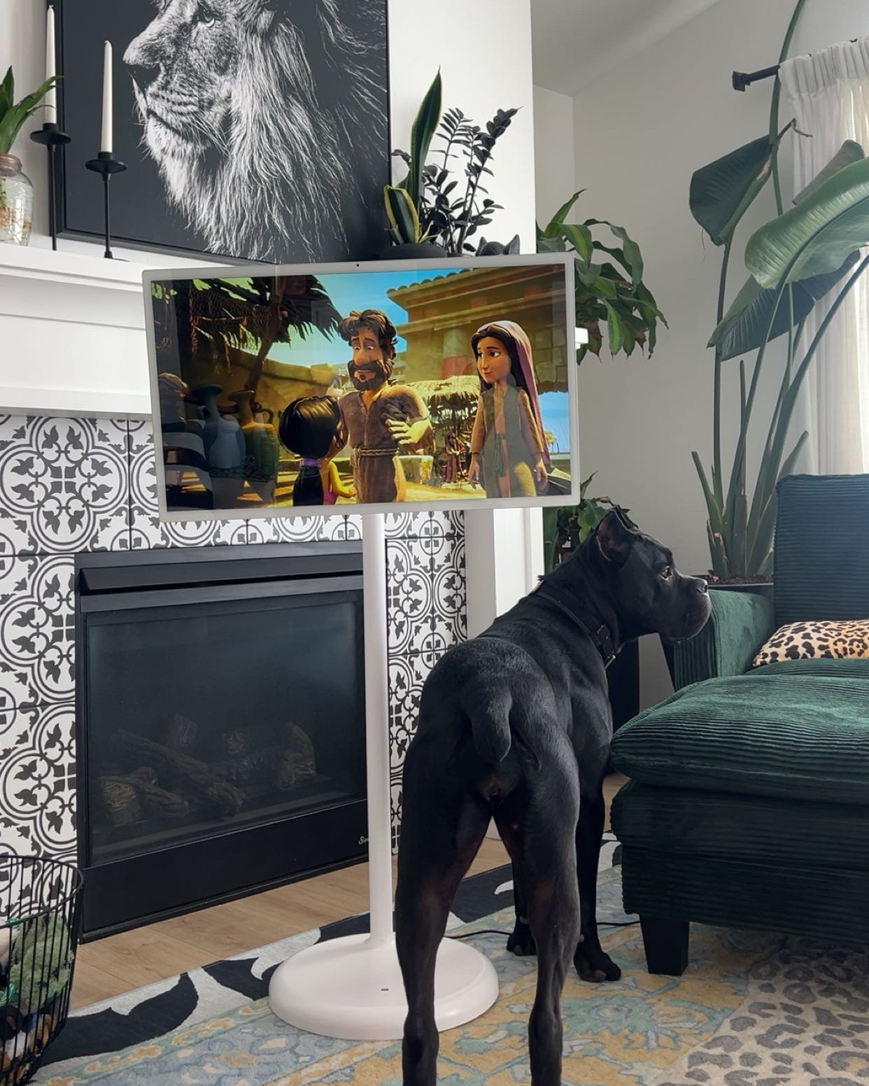 Home favorites- Amazon 32 inch portable tv/ tablet 

#LTKSaleAlert #LTKmomlife #LTKHome