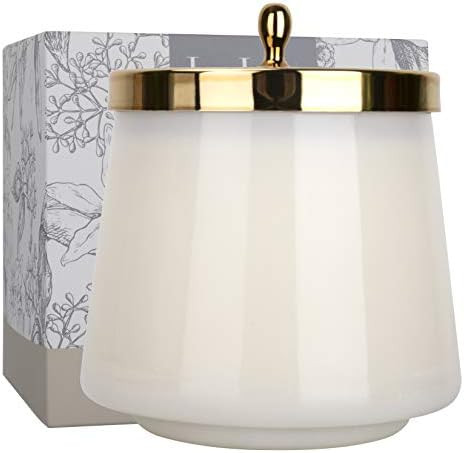 LA JOLIE MUSE Vanilla Cake Scented Candle, Natural Soy Candle, 75 Hours Long Burning, Glass Jar C... | Amazon (US)