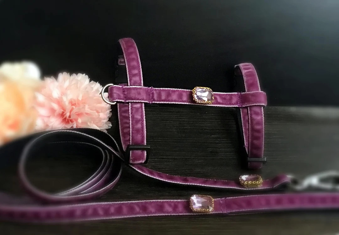 Cat Harness and Leash.lavender Velvet Harness for Small Dog.handmade Tiny Dog Harness and Leash.p... | Etsy (US)
