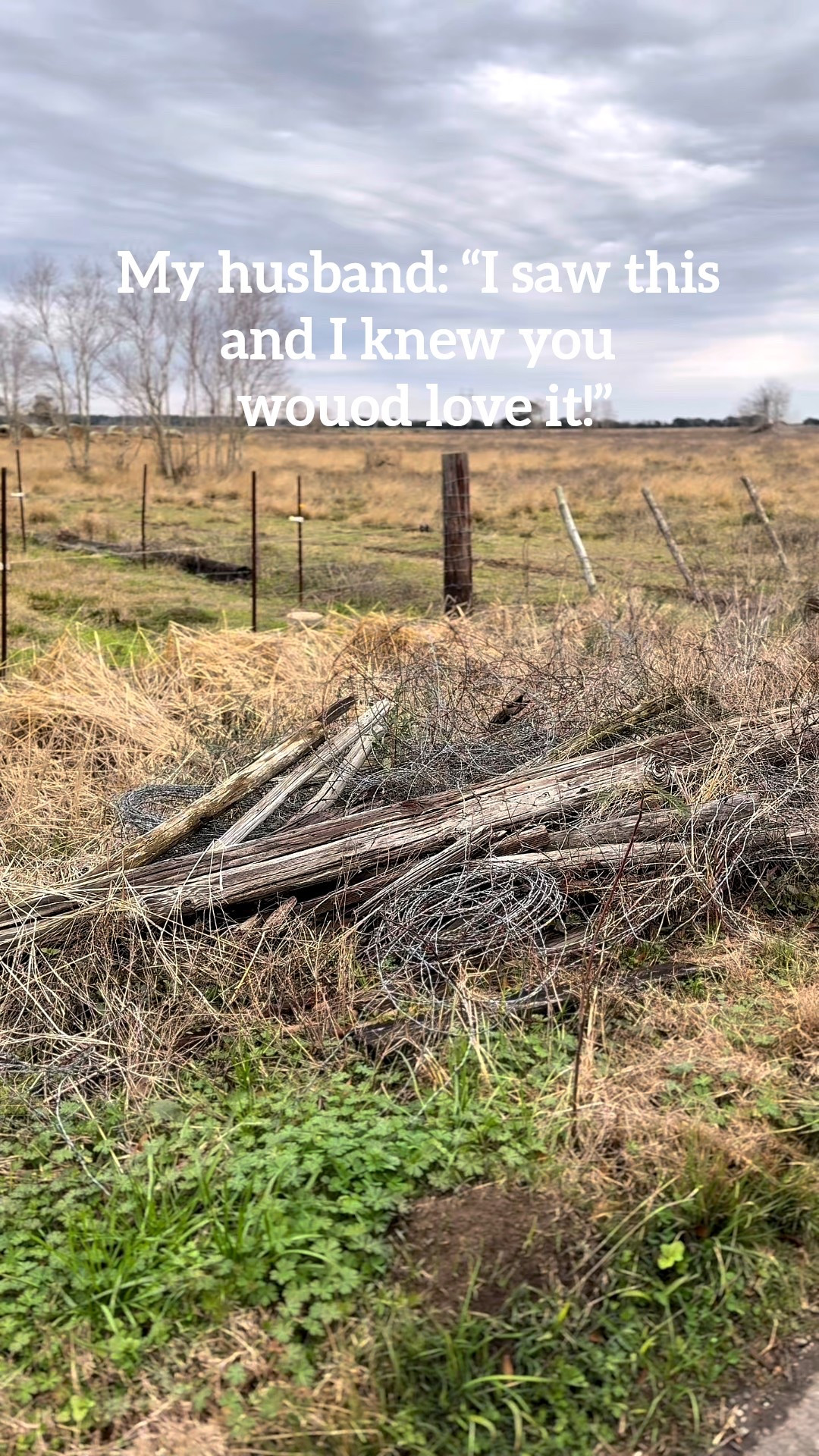 This roadside find turned into the best free centerpiece! 🧡

#LTKHome #LTKSeasonal #LTKdayinmylife