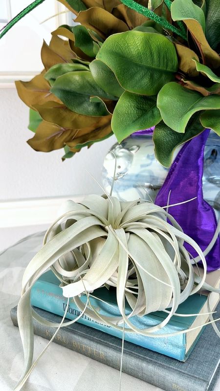 Table decor, table styling, houseplants

#LTKover40 #LTKhome