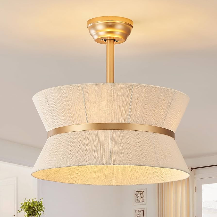 Boho Ceiling Fan with Light and Remote Rattan Chandelier Fan Gold Caged Fandelier Ceiling Fan wit... | Amazon (US)